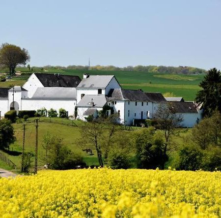 Maison d'hôtes La Bulle du Ruisseau à Mozet Extérieur photo