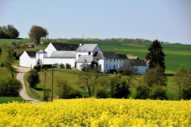 Maison d'hôtes La Bulle du Ruisseau à Mozet Extérieur photo