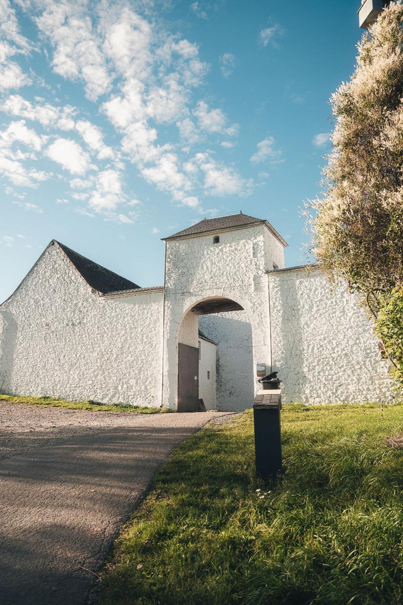 Maison d'hôtes La Bulle du Ruisseau à Mozet Extérieur photo